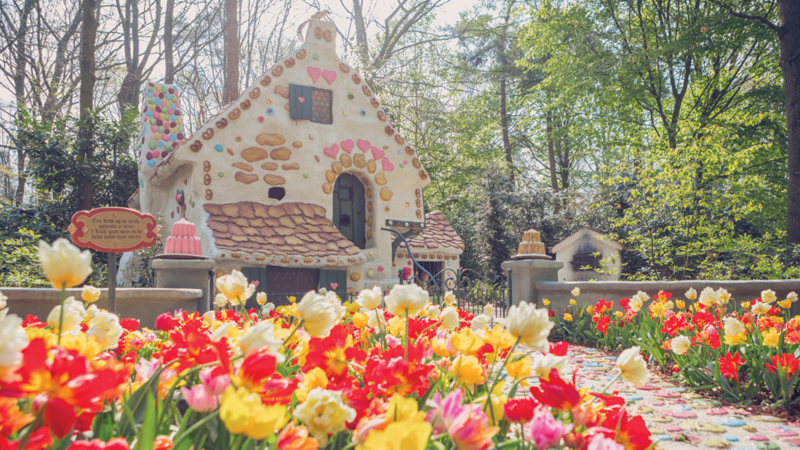 efteling-hansel-gretel-mobile-800x450.png