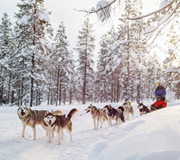 Magical holiday to Santa’s Lapland